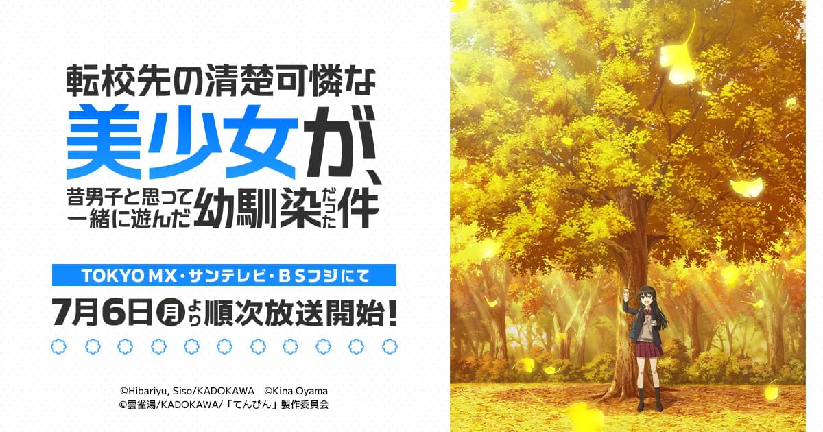転校先の清楚可憐な美少女が、昔男子と思って一緒に遊んだ幼馴染だった件